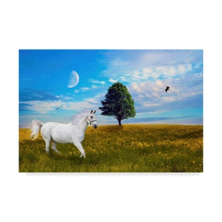Ata Alishahi 'Wild White Horse' Canvas Art,30x47